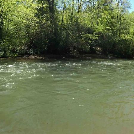 Cabin Fever On Cartecay River Ellijay Buitenkant foto