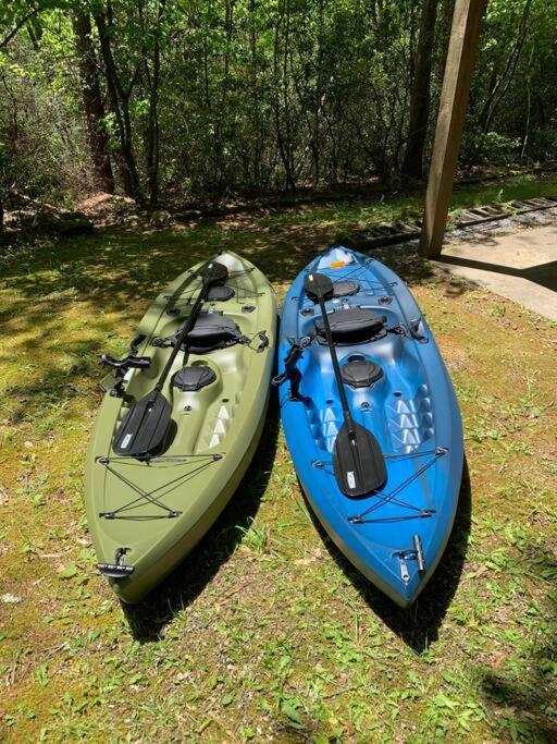 Cabin Fever On Cartecay River Ellijay Buitenkant foto
