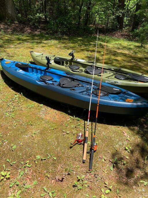 Cabin Fever On Cartecay River Ellijay Buitenkant foto