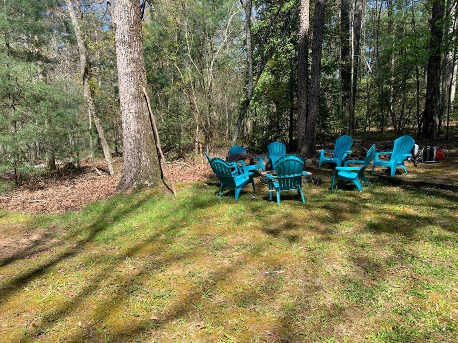 Cabin Fever On Cartecay River Ellijay Buitenkant foto