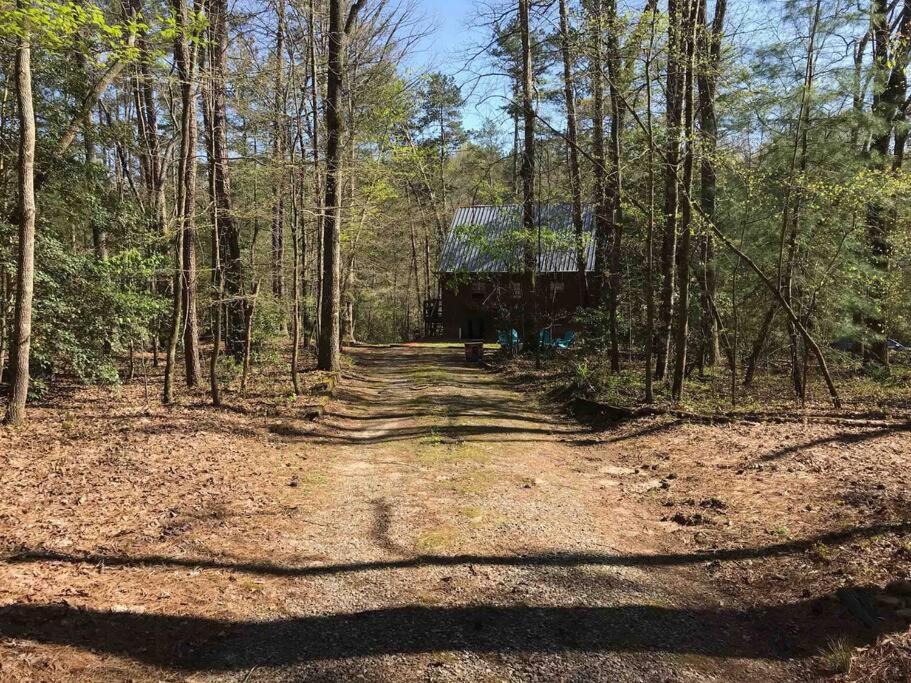 Cabin Fever On Cartecay River Ellijay Buitenkant foto